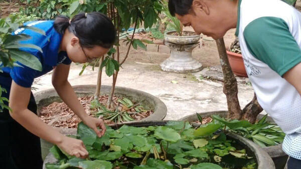 Phường Nghĩa Lộ ra quân diệt lăng quăng/bọ gậy đợt I/2025